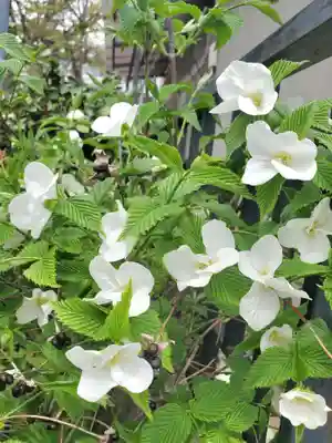 阿邪訶根神社(福島県)