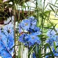 三津厳島神社の手水舎