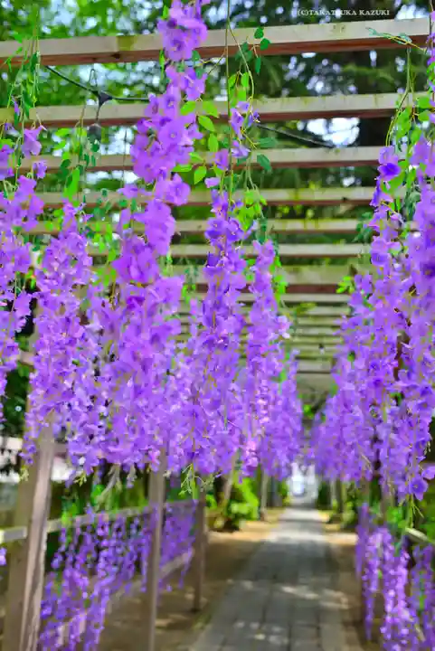 越谷香取神社(埼玉県)