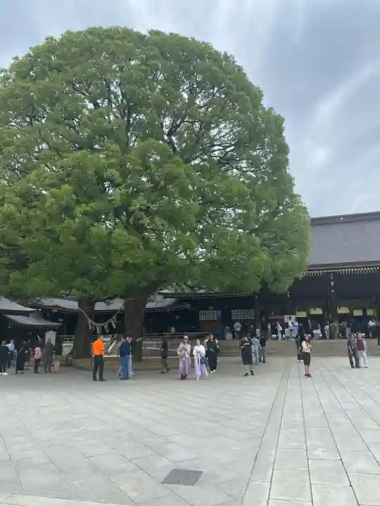 明治神宮(東京都)