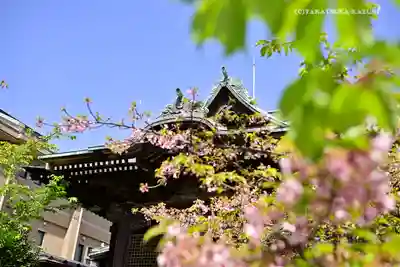 桜神宮のその他建物