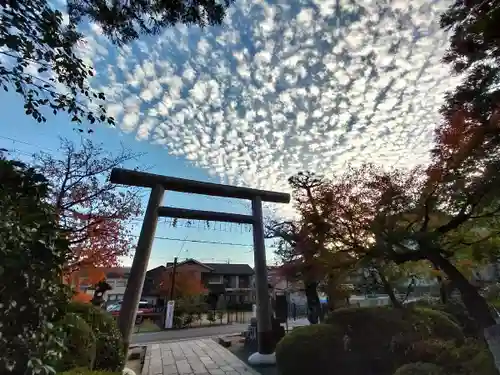 木嶋坐天照御魂神社の鳥居