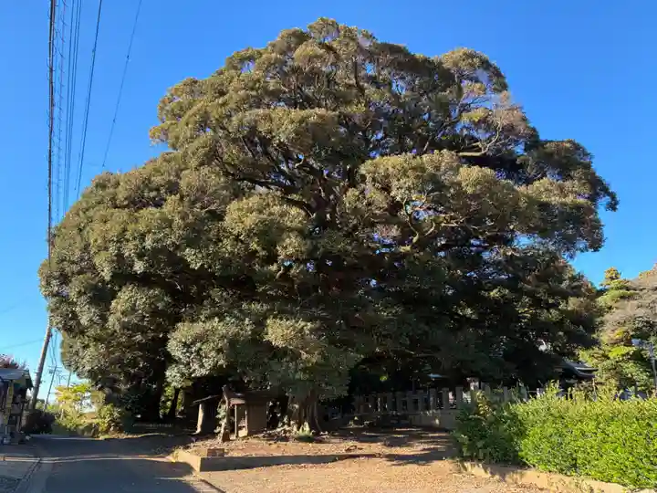 三社神社(千葉県)