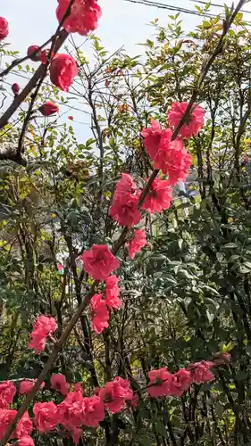 横浜御嶽神社(神奈川県)