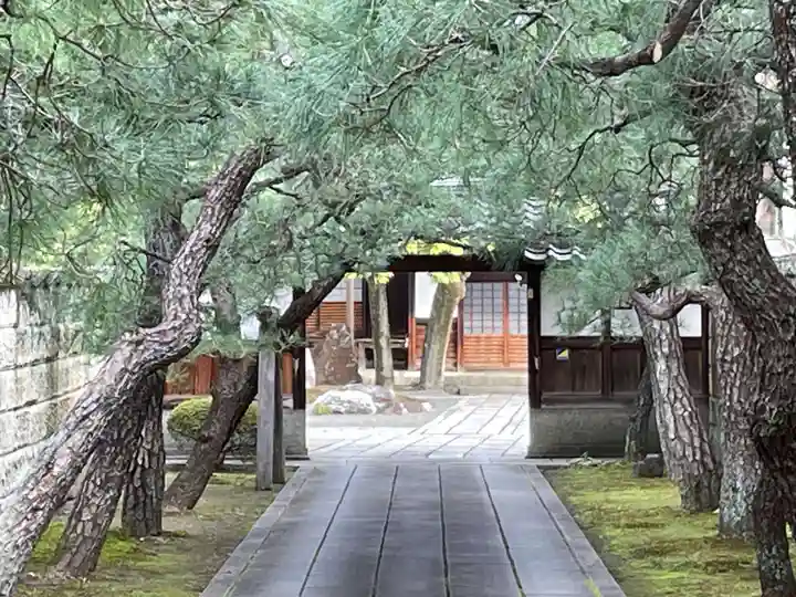 導故寺(京都府)