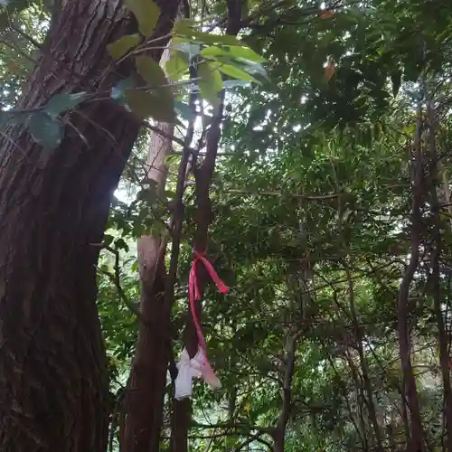 南宮稲荷大明神のその他建物