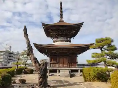 大樹寺（松安院大樹寺）のその他建物