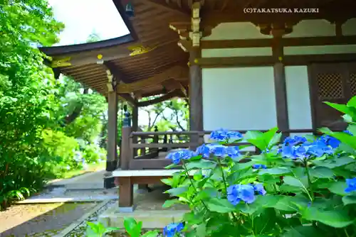 妙楽寺(神奈川県)