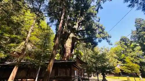 若狭姫神社（若狭彦神社下社）(福井県)