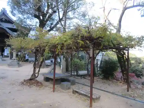 仙遊寺(愛媛県)