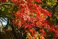 妙徳寺(山口県)