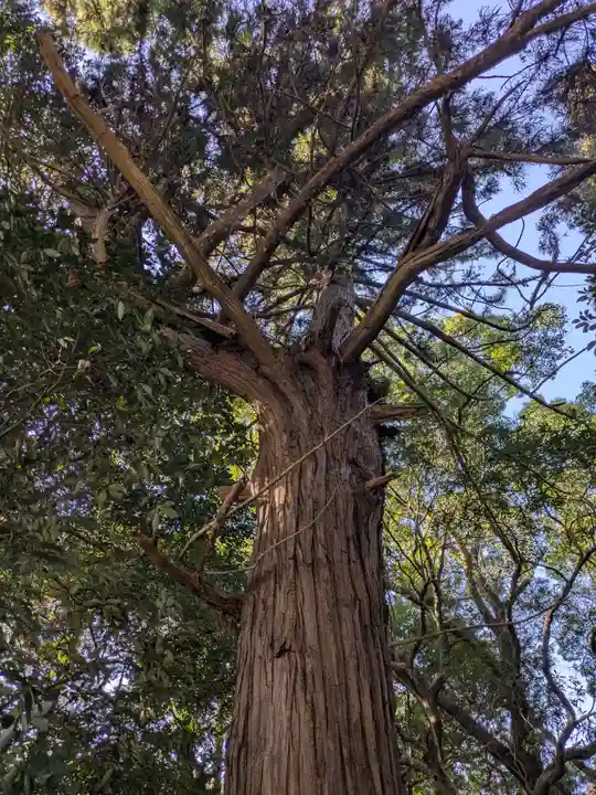 飯野高宮神山神社(三重県)