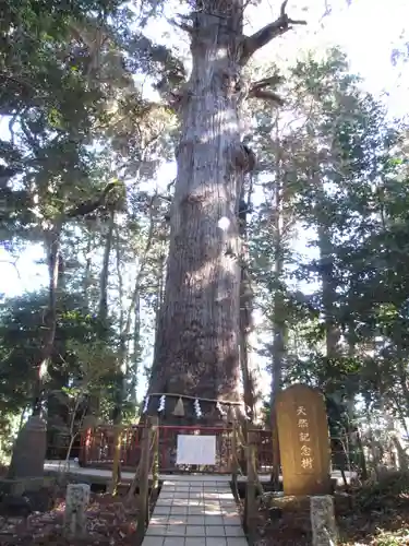 麻賀多神社の自然
