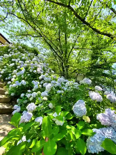 白和瀬神社(福島県)