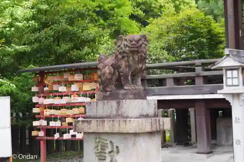 京都乃木神社の狛犬