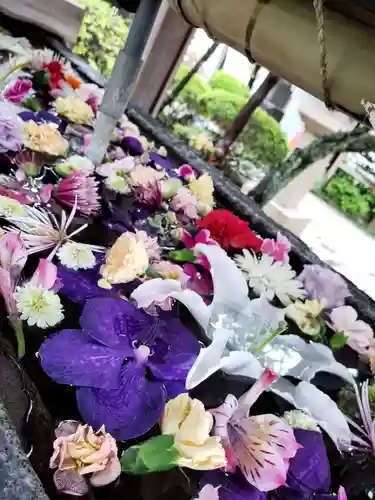 鳩森八幡神社の手水舎