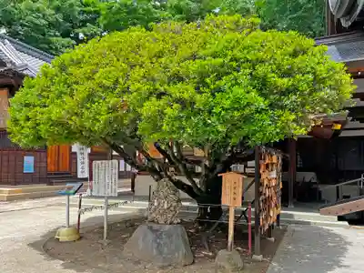 武水別神社(長野県)