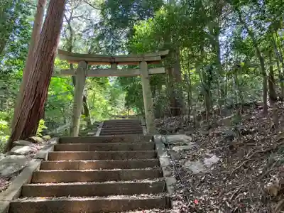 龍河神社の鳥居