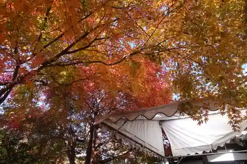 三千院門跡の景色