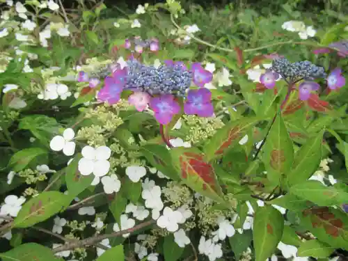 普濟寺の自然