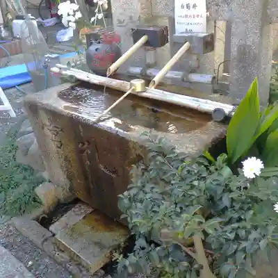 金札宮の手水舎