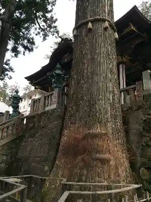 三峯神社の建物その他