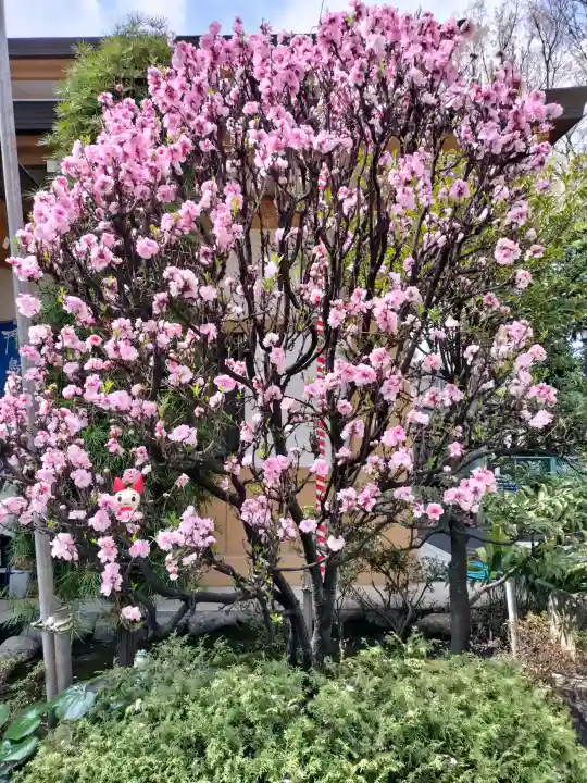 居木神社の{uncategorized: "未分類", other: "その他", undefined: "問題あり", building: "その他建物", grave: "お墓", sacred_gate: "鳥居", guardian: "狛犬", statue: "像", buddha: "仏像", history: "歴史", nature: "自然", garden: "庭園", animal: "動物", pagoda: "塔", temizu: "手水舎", mountain_gate: "山門・神門", sanctuary: "本殿・本堂", subordinate: "末社・摂社", art: "芸術", scenery: "景色", jizo: "地蔵", ema: "絵馬", goshuin: "御朱印", omikuji: "おみくじ", items: "授与品その他", amulet: "お守り", goshuincho: "御朱印帳", eats: "食事", festival: "お祭り", votive_dance: "神楽", shichigosan: "七五三参", wedding: "結婚式", experience: "体験その他", initially: "初詣", around: "周辺", anti_infection: "感染症対策"}