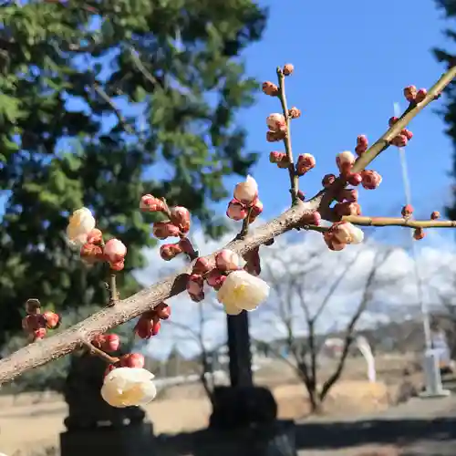 高司神社〜むすびの神の鎮まる社〜(福島県)