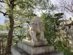 晴明神社の狛犬