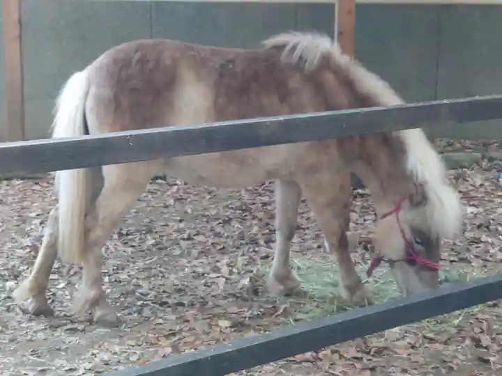 平塚八幡宮(神奈川県)
