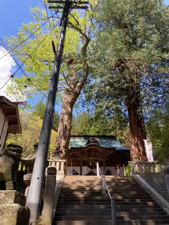 新海三社神社(長野県)