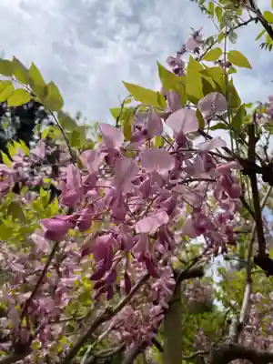 歌泉堂（春日大社神苑萬葉植物園内鎮座）(奈良県)
