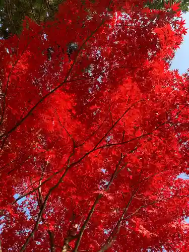 豊景神社の自然