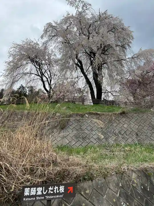 勝間薬師堂(長野県)