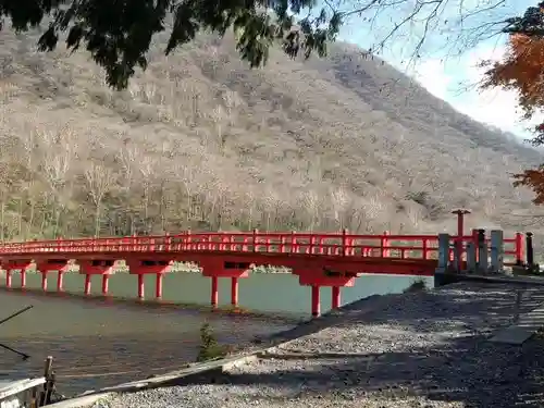 赤城神社の自然