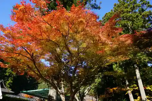 小國神社の自然