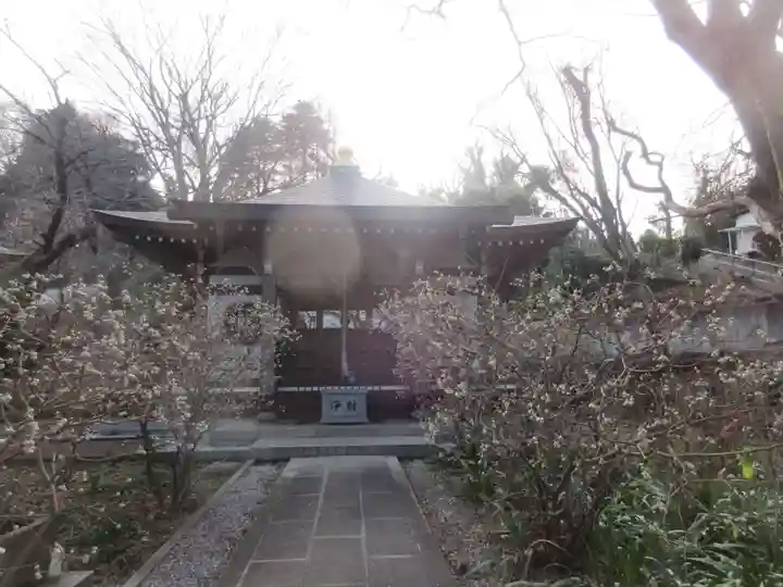 妙楽寺(神奈川県)