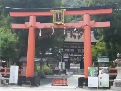 松尾大社の鳥居