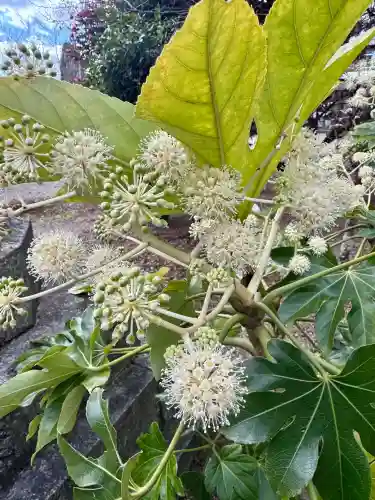 京都乃木神社の{uncategorized: "未分類", other: "その他", undefined: "問題あり", building: "その他建物", grave: "お墓", sacred_gate: "鳥居", guardian: "狛犬", statue: "像", buddha: "仏像", history: "歴史", nature: "自然", garden: "庭園", animal: "動物", pagoda: "塔", temizu: "手水舎", mountain_gate: "山門・神門", sanctuary: "本殿・本堂", subordinate: "末社・摂社", art: "芸術", scenery: "景色", jizo: "地蔵", ema: "絵馬", goshuin: "御朱印", omikuji: "おみくじ", items: "授与品その他", amulet: "お守り", goshuincho: "御朱印帳", eats: "食事", festival: "お祭り", votive_dance: "神楽", shichigosan: "七五三参", wedding: "結婚式", experience: "体験その他", initially: "初詣", around: "周辺", anti_infection: "感染症対策"}