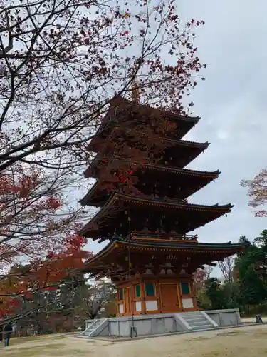 成相寺のその他建物