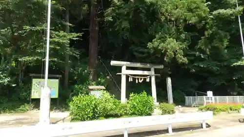 大井神社の鳥居