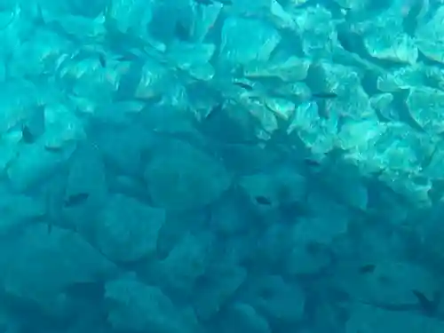 外泊天満神社の周辺