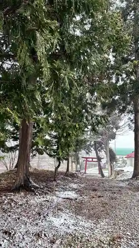 文月稲荷神社(北海道)