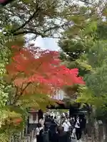 慈照寺(慈照禅寺・銀閣寺)(京都府)