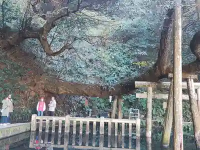 鹿島神宮(茨城県)