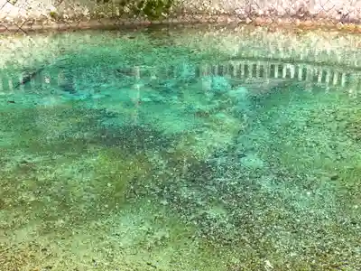 嚴島神社(山口県)
