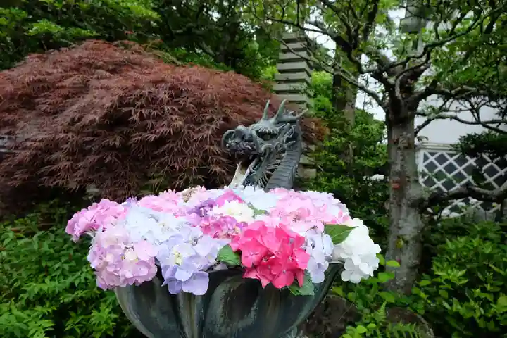 成就院の手水舎