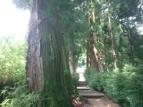 高天彦神社の自然