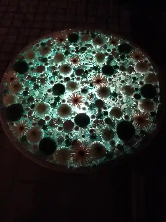 行田八幡神社の手水舎