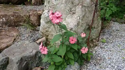 本経寺(栃木県)